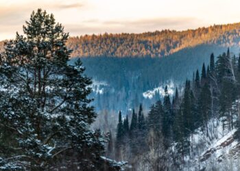 Das Unglück am Dyatlov-Pass: Ein tragisches Ereignis in den russischen Bergen