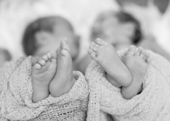 Die Pollock-Zwillinge: Ein rätselhaftes Phänomen der Wiederverkörperung