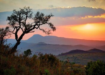 Das Rätsel der Klerksdorp-Kugeln: Vorzeitliche Artefakte